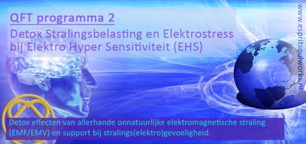 QFT Programma 2: Detox Stralingsbelasting en Elektrostress